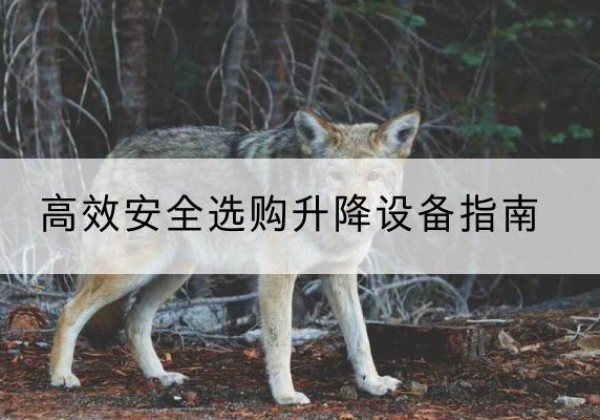 和平区升降货梯厂家推荐-*安全选购升降设备指南