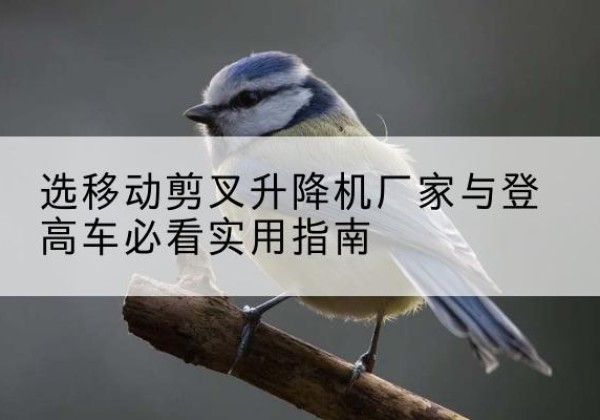 和平区电动升降机厂家-选移动剪叉升降机厂家与登高车必看实用指南