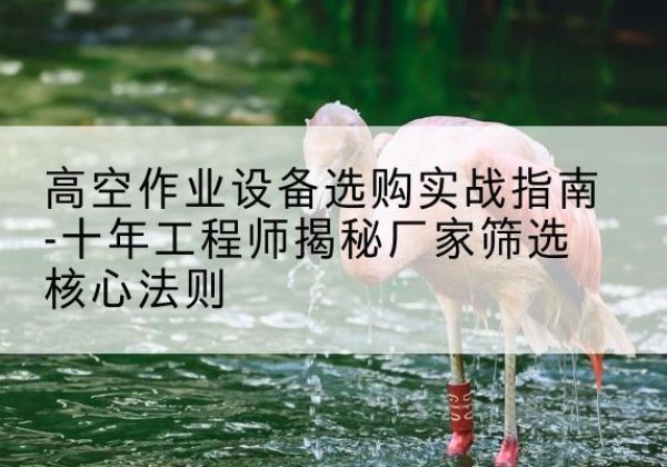 和平区剪叉式升降机厂家-高空作业设备选购实战指南-十年工程师揭秘厂家筛选核心法则